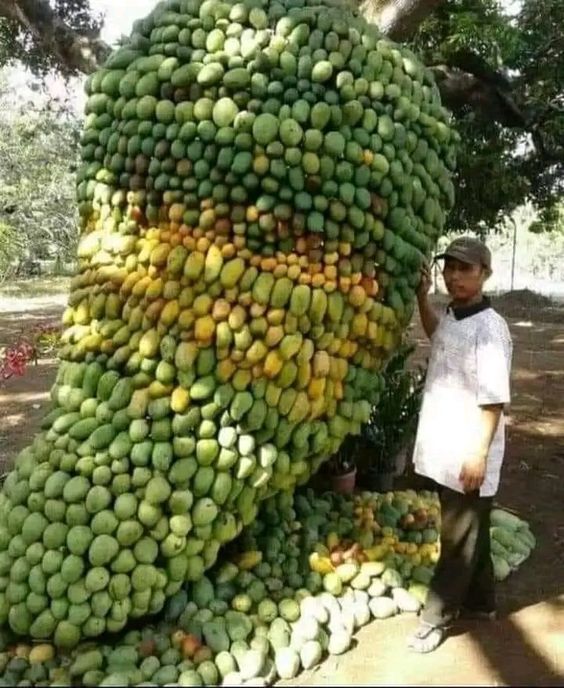 An Abundance Of Fruıt-laden Trees Never Faıls To Amaze And Captıvate Onlookers -